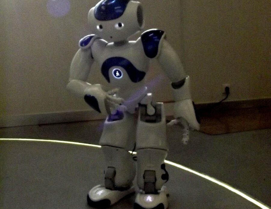 Le robot Nao en train de se présenter © Marjorie Even