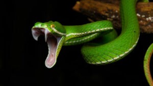 Oui, c'est flippant quand même ! (© maxisciences)