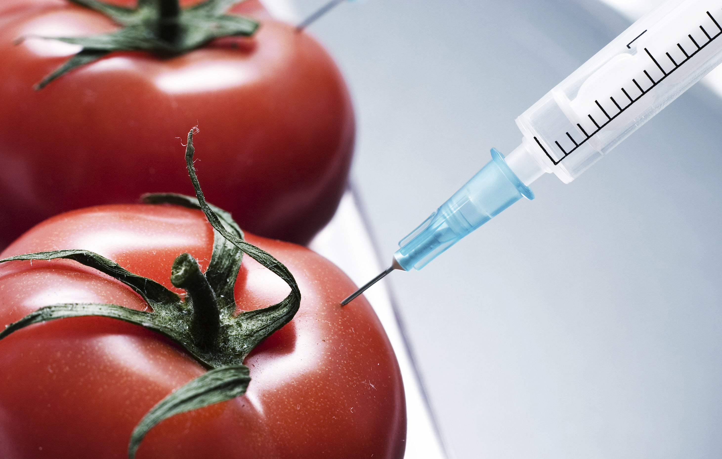 Comprendre les OGM en quatre points | VL Média