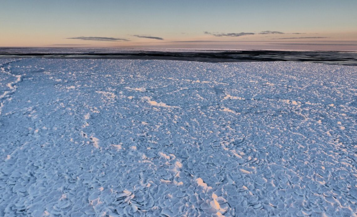 Antarctique : de la glace en "peau de dragon" est observée par les scientifiques