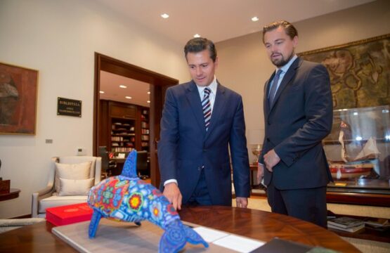 Le Mexique et Léonardo DiCaprio s'engagent pour sauver une espèce en voie d'extinction