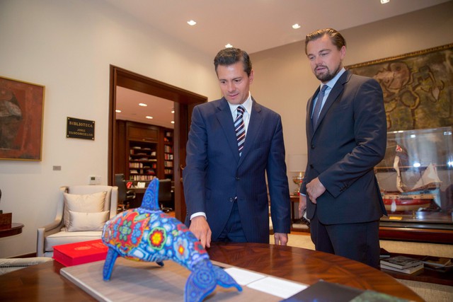 Le Mexique et Léonardo DiCaprio s'engagent pour sauver une espèce en voie d'extinction