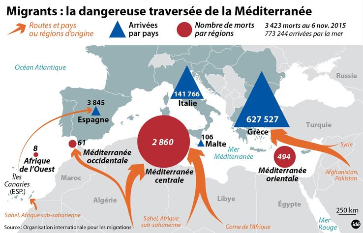 Organisation Internationale Pour Les Migrations Vl Média 7346