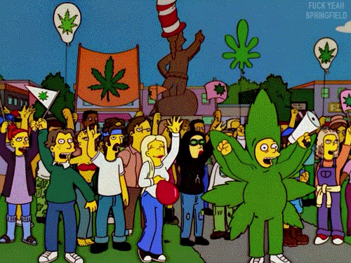 Le Canada légalise le cannabis (Crédit : Giphy)