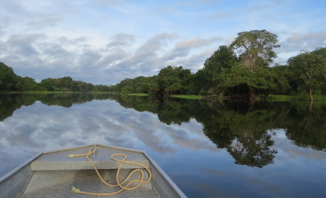 Amazonie : la forêt a perdu une superficie comparable à l'Espagne en 18 ans