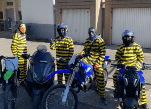 les daltons lyon délinquants police