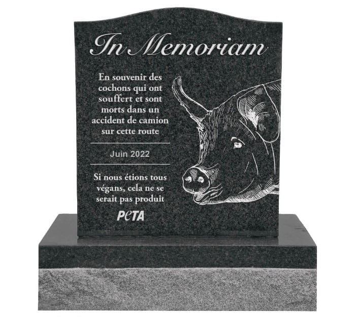 memorial-cochons-morts-PETA-inscription