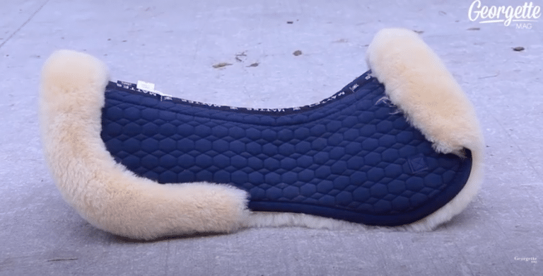 Le bonnet pour cheval : Un accessoire indispensable